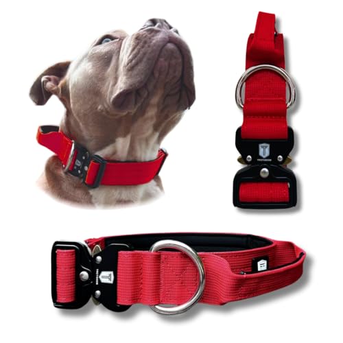 TACTIDOGS Halsband (rot, M) von Tactidogs
