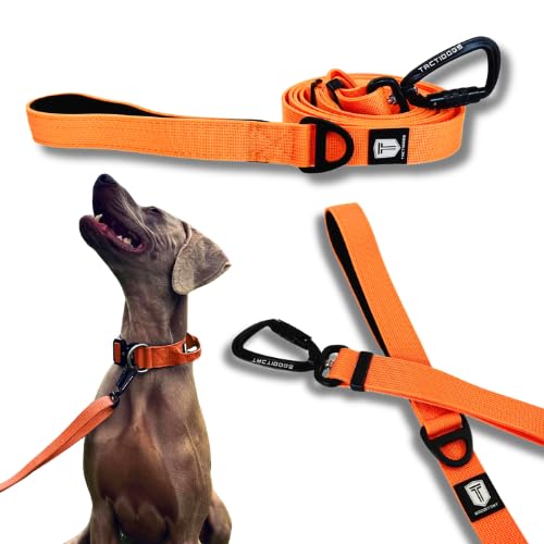 Taktidogs Leine, Orange von Tactidogs