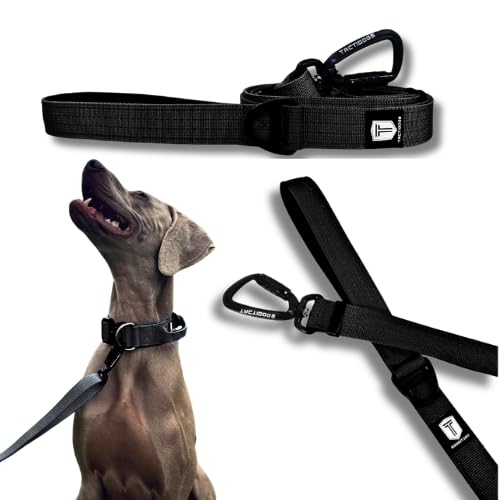 Taktidogs Leine, Schwarz von Tactidogs