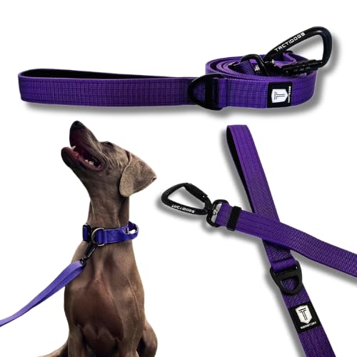 Taktidogs Leine, Violett von Tactidogs