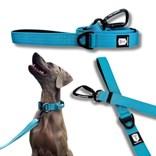 Taktidogs Leine, blau von Tactidogs