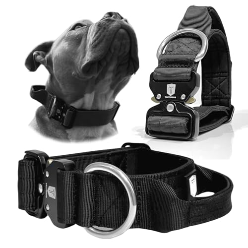 Taktisches Hundehalsband (L) von Tactidogs
