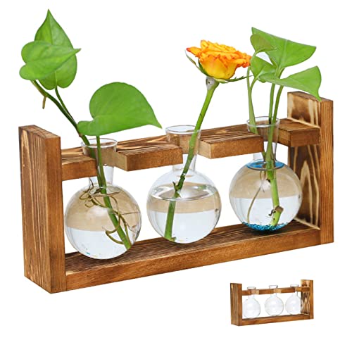 Pflanzenverbreitungsstationen Pflanzen Terrarium Glaspflanzer mit Holzstand für Hydroponische Pflanzen Büro Hausdekoration, Blumentöpfe von Tadoiooy