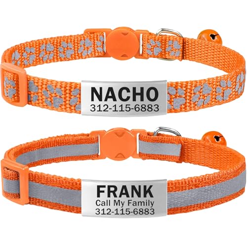 TagME 2er Pack Katzenhalsband mit Namen und Telefonnummer, Katzenhalsband mit Sicherheitsverschluss und glöckchen, 15-20 cm für Kätzchen, Orange von TagME