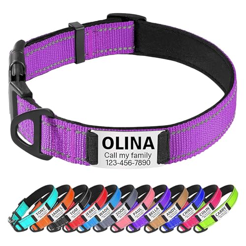 TagME Hundehalsband personalisiert, Reflektierendes gepolstertes Nylon Hundehalsband für extra große Hunde mit Namen und Telefonnummer TagME Hundehalsband personalisiert, Reflektierendes gepolstertes Nylon Hundehalsband für extra große Hunde mit Namen und Telefonnummer von TagME