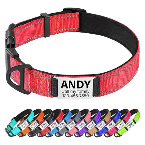 TagME Hundehalsband personalisiert, Reflektierendes gepolstertes Nylon Hundehalsband für kleine Hunde mit Namen und Telefonnummer TagME Hundehalsband personalisiert, Reflektierendes gepolstertes Nylon Hundehalsband für kleine Hunde mit Namen und Telefonnummer von TagME