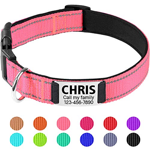 TagME Hundehalsband personalisiert, Reflektierendes gepolstertes Nylon Hundehalsband für mittelgroße Hunde mit Namen und Telefonnummer TagME Hundehalsband personalisiert, Reflektierendes gepolstertes Nylon Hundehalsband für mittelgroße Hunde mit Namen und Telefonnummer von TagME