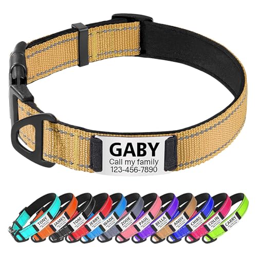 TagME Hundehalsband personalisiert, Reflektierendes gepolstertes Nylon Hundehalsband für mittelgroße Hunde mit Namen und Telefonnummer TagME Hundehalsband personalisiert, Reflektierendes gepolstertes Nylon Hundehalsband für mittelgroße Hunde mit Namen und Telefonnummer von TagME
