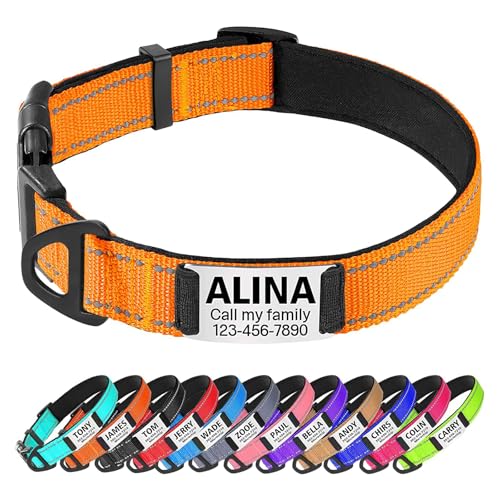 TagME Hundehalsband personalisiert, Reflektierendes gepolstertes Nylon Hundehalsband für mittelgroße Hunde mit Namen und Telefonnummer TagME Hundehalsband personalisiert, Reflektierendes gepolstertes Nylon Hundehalsband für mittelgroße Hunde mit Namen und Telefonnummer von TagME