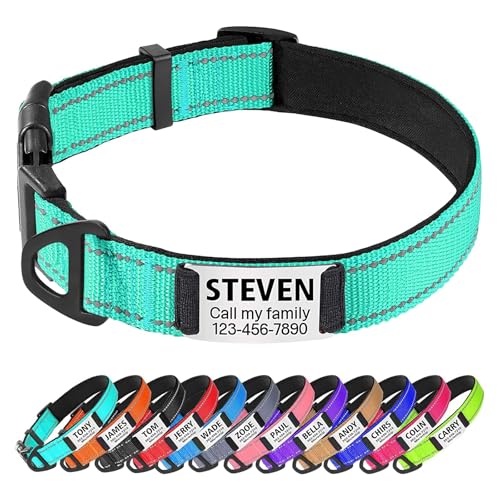 TagME Hundehalsband personalisiert, Reflektierendes gepolstertes Nylon Hundehalsband für mittelgroße Hunde mit Namen und Telefonnummer TagME Hundehalsband personalisiert, Reflektierendes gepolstertes Nylon Hundehalsband für mittelgroße Hunde mit Namen und Telefonnummer von TagME