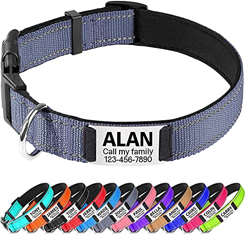 TagME Hundehalsband personalisiert, Reflektierendes gepolstertes Nylon Hundehalsband für Welpen mit Namen und Telefonnummer TagME Hundehalsband personalisiert, Reflektierendes gepolstertes Nylon Hundehalsband für Welpen mit Namen und Telefonnummer von TagME