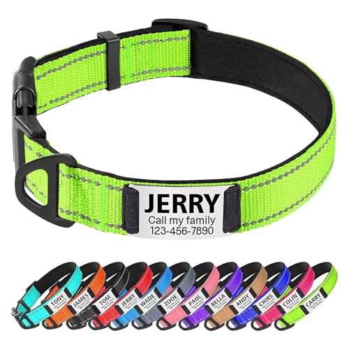 TagME Hundehalsband personalisiert, Reflektierendes gepolstertes Nylon Hundehalsband für Welpen mit Namen und Telefonnummer TagME Hundehalsband personalisiert, Reflektierendes gepolstertes Nylon Hundehalsband für Welpen mit Namen und Telefonnummer von TagME