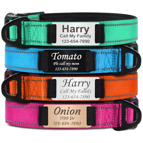 TagME Hundehalsband Personalisiert mit Namensschild für Mittelgroße Hunde, Reflektierendes Gepolstertes Nylon-Halsband mit ID-Anhänger, Verstellbar 35-50cm TagME Hundehalsband Personalisiert mit Namensschild für Mittelgroße Hunde, Reflektierendes Gepolstertes Nylon-Halsband mit ID-Anhänger, Verstellbar 35-50cm von TagME