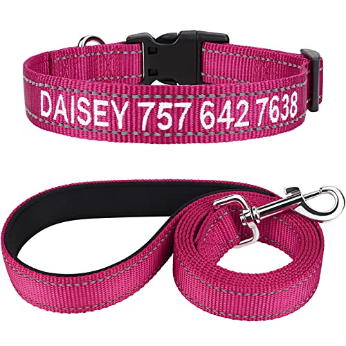 TagME Hundehalsband und Leine, Personalisierbar Reflektierendes Hundehalsband Mit 1.5M Doppelseitige Reflektierende Hundeleine für Große Hunde, Hot Pink von TagME