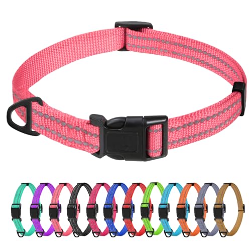 TagME Nylon Hundehalsband, Verstellbares Reflektierendes Hundehalsband mit Sicherheitsschnalle für Extra Kleine Hund, Rosa, 1.5cm Breite von TagME