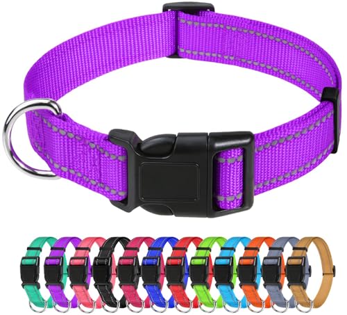 TagME Nylon Hundehalsband, Verstellbares Reflektierendes Hundehalsband mit Sicherheitsschnalle für Große Hunde, Lila, 2.5cm Breite von TagME