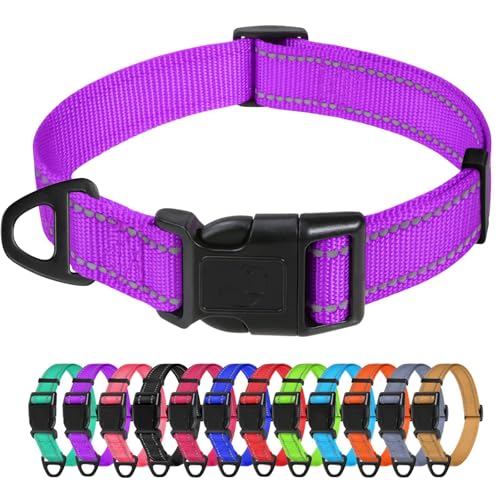 TagME Nylon Hundehalsband, Verstellbares Reflektierendes Hundehalsband mit Sicherheitsschnalle für Große Hunde, Lila, 2.5cm Breite von TagME