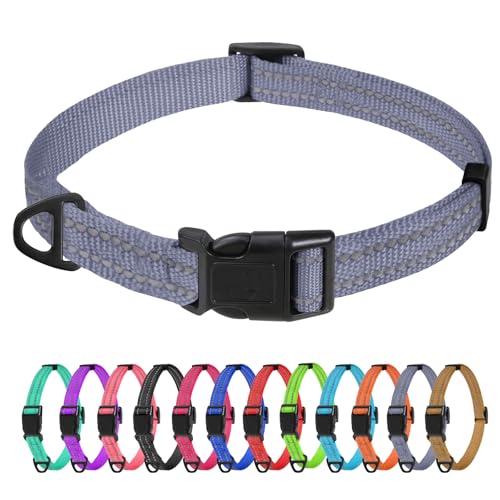 TagME Nylon Hundehalsband, Verstellbares Reflektierendes Hundehalsband mit Sicherheitsschnalle für Kleiner Hund, Grau, 1.5cm Breite von TagME