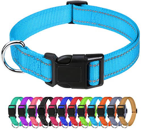 TagME Nylon Hundehalsband, Verstellbares Reflektierendes Hundehalsband mit Sicherheitsschnalle für Kleiner Hund, Himmelblau, 1.5cm Breite von TagME