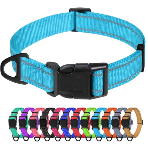 TagME Nylon Hundehalsband, Verstellbares Reflektierendes Hundehalsband mit Sicherheitsschnalle für Kleiner Hund, Himmelblau, 1.5cm Breite von TagME