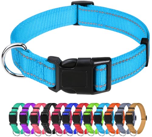 TagME Nylon Hundehalsband, Verstellbares Reflektierendes Hundehalsband mit Sicherheitsschnalle für Kleiner Hund, Himmelblau, 1.5cm Breite von TagME