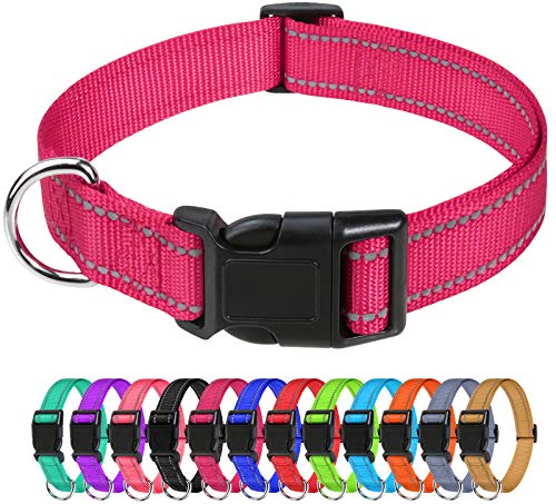 TagME Nylon Hundehalsband, Verstellbares Reflektierendes Hundehalsband mit Sicherheitsschnalle für Kleiner Hund, Hot Pink, 1.5cm Breite von TagME