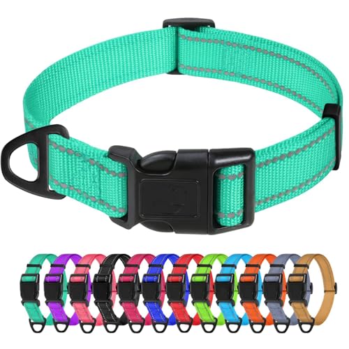 TagME Nylon Hundehalsband, Verstellbares Reflektierendes Hundehalsband mit Sicherheitsschnalle für Kleiner Hund, Türkis, 2.0cm Breite TagME Nylon Hundehalsband, Verstellbares Reflektierendes Hundehalsband mit Sicherheitsschnalle für Kleiner Hund, Türkis, 2.0cm Breite von TagME