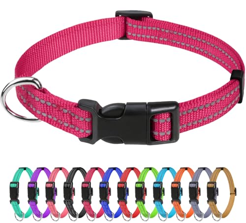 TagME Nylon Hundehalsband, Verstellbares Reflektierendes Hundehalsband mit Sicherheitsschnalle für Welpen, Hot Pink, 1.0cm Breite TagME Nylon Hundehalsband, Verstellbares Reflektierendes Hundehalsband mit Sicherheitsschnalle für Welpen, Hot Pink, 1.0cm Breite von TagME