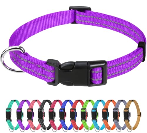 TagME Nylon Hundehalsband, Verstellbares Reflektierendes Hundehalsband mit Sicherheitsschnalle für Welpen, Lila, 1.0cm Breite TagME Nylon Hundehalsband, Verstellbares Reflektierendes Hundehalsband mit Sicherheitsschnalle für Welpen, Lila, 1.0cm Breite von TagME