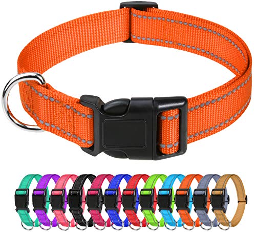 TagME Nylon Hundehalsband, Verstellbares Reflektierendes Hundehalsband mit Sicherheitsschnalle für Welpen, Orange, 1.0cm Breite von TagME