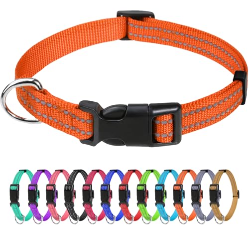 TagME Nylon Hundehalsband, Verstellbares Reflektierendes Hundehalsband mit Sicherheitsschnalle für Welpen, Orange, 1.0cm Breite TagME Nylon Hundehalsband, Verstellbares Reflektierendes Hundehalsband mit Sicherheitsschnalle für Welpen, Orange, 1.0cm Breite von TagME