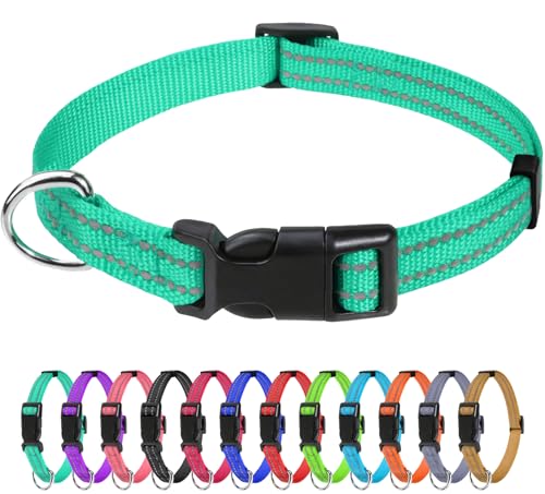 TagME Nylon Hundehalsband, Verstellbares Reflektierendes Hundehalsband mit Sicherheitsschnalle für Welpen, Türkis, 1.0cm Breite TagME Nylon Hundehalsband, Verstellbares Reflektierendes Hundehalsband mit Sicherheitsschnalle für Welpen, Türkis, 1.0cm Breite von TagME