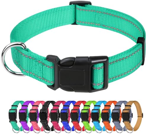 TagME Nylon Hundehalsband, Verstellbares Reflektierendes Hundehalsband mit Sicherheitsschnalle für Welpen, Türkis, 1.0cm Breite von TagME