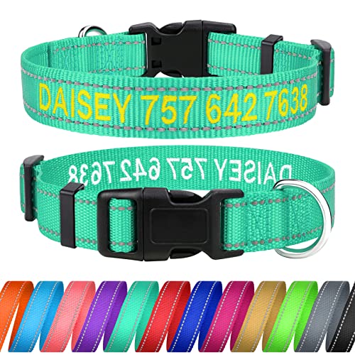 TagME Personalisierte Hundehalsband für Große Hund Mit Gestickten, Reflektierendes Nylon Hundehalsband Mit Pet Name & Telefonnummer, Türkis L von TagME