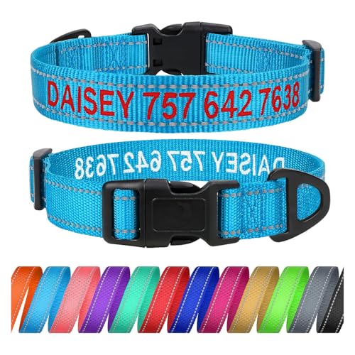 TagME Personalisierte Hundehalsband für Mittlerer Hund Mit Gestickten, Reflektierendes Nylon Hundehalsband Mit Pet Name & Telefonnummer, Himmelblau M von TagME