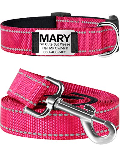 TagME Reflektierend Hundehalsband mit Leine Set mit Namen und Telefonnummer,Gepolstert Halsband Hund für Große Hunde,Leuchtend rosa von TagME