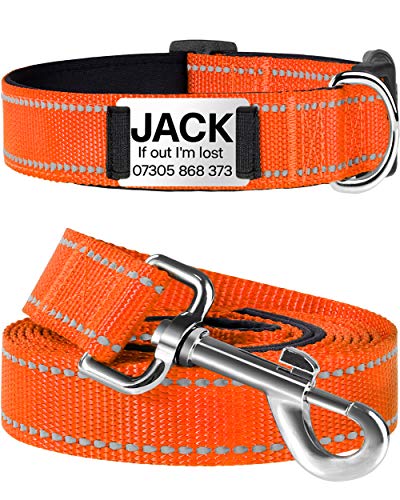 TagME Reflektierend Hundehalsband mit Leine Set mit Namen und Telefonnummer,Gepolstert Halsband Hund für Große Hunde,Orange von TagME