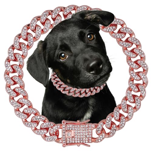 Hundehalsband, Diamant-Halsband, Rotgold, Metallkette, 12 mm breit, Halskette mit sicherer Schnalle, Haustierhalsband, kubanischer Stil, Schmuckzubehör für kleine, mittelgroße und große Hunde, Katzen von Tagbilang