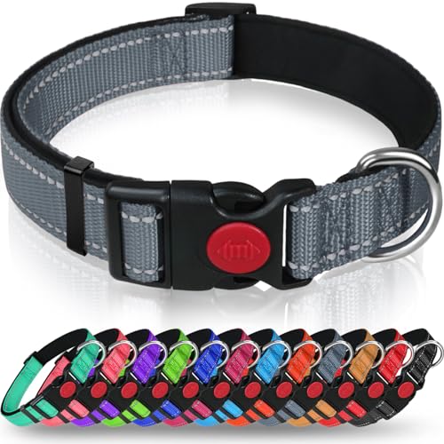 Taglory Hundehalsband, Weich Gepolstertes Neopren Nylon Hunde Halsband für Extra Große Hunde, Verstellbar und Reflektierend für das Training, Grau von Taglory