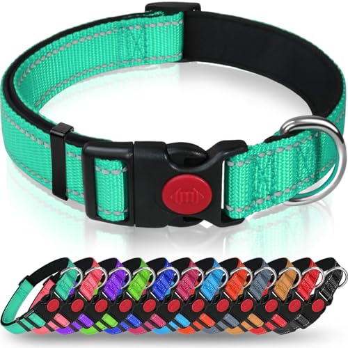 Taglory Hundehalsband, Weich Gepolstertes Neopren Nylon Hunde Halsband für Extra Große Hunde, Verstellbar und Reflektierend für das Training, Türkis von Taglory