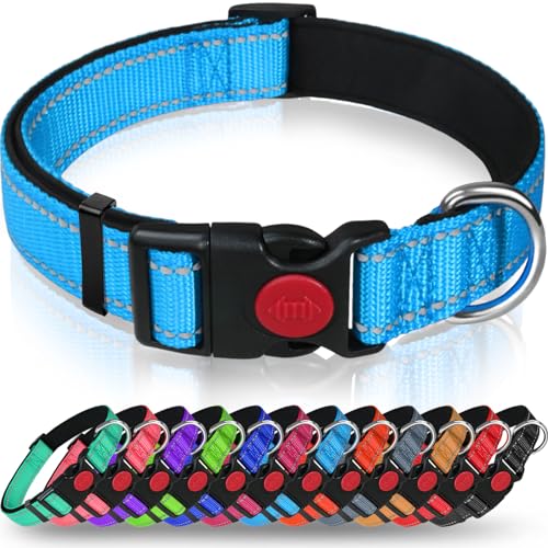 Taglory Hundehalsband, Weich Gepolstertes Neopren Nylon Hunde Halsband für Große Hunde, Verstellbare und Reflektierend für das Training, Himmelblau von Taglory