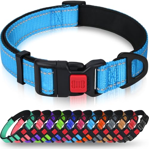 Taglory Hundehalsband, Weich Gepolstertes Neopren Nylon Hunde Halsband für Große Hunde, Verstellbare und Reflektierend für das Training, Himmelblau von Taglory