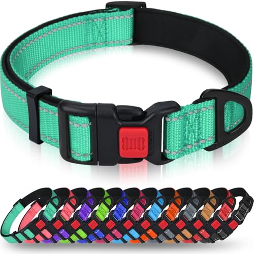 Taglory Hundehalsband, Weich Gepolstertes Neopren Nylon Hunde Halsband für Große Hunde, Verstellbare und Reflektierend für das Training, Türkis von Taglory