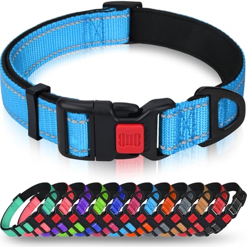 Taglory Hundehalsband, Weich Gepolstertes Neopren Nylon Hunde Halsband für Kleine Hunde, Verstellbare und Reflektierend für das Training, Himmelblau Taglory Hundehalsband, Weich Gepolstertes Neopren Nylon Hunde Halsband für Kleine Hunde, Verstellbare und Reflektierend für das Training, Himmelblau von Taglory