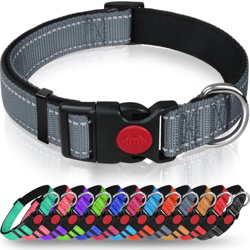 Taglory Hundehalsband, Weich Gepolstertes Neopren Nylon Hunde Halsband für Mittlere Hunde, Verstellbare und Reflektierend für das Training, Grau M (1er Pack) Taglory Hundehalsband, Weich Gepolstertes Neopren Nylon Hunde Halsband für Mittlere Hunde, Verstellbare und Reflektierend für das Training, Grau M (1er Pack) von Taglory