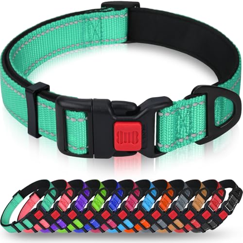 Taglory Hundehalsband, Weich Gepolstertes Neopren Nylon Hunde Halsband für Mittlere Hunde, Verstellbare und Reflektierend für das Training, Türkis M (1er Pack) Taglory Hundehalsband, Weich Gepolstertes Neopren Nylon Hunde Halsband für Mittlere Hunde, Verstellbare und Reflektierend für das Training, Türkis M (1er Pack) von Taglory