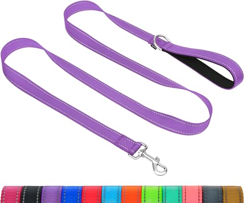 Taglory Hundeleine Kleine Hunde Leicht | Doppelseitig Reflektierend | Gepolsterter Griff | Bis zu 10 kg | 1.8m x 2cm | Lila Taglory Hundeleine Kleine Hunde Leicht | Doppelseitig Reflektierend | Gepolsterter Griff | Bis zu 10 kg | 1.8m x 2cm | Lila von Taglory