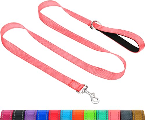 Taglory Hundeleine Mittelgroße Große Hunde Leicht | Doppelseitig Reflektierend | Gepolsterter Griff | Unterstützung 10 bis 75 kg | 1.2m x 2.5cm | Rosa Taglory Hundeleine Mittelgroße Große Hunde Leicht | Doppelseitig Reflektierend | Gepolsterter Griff | Unterstützung 10 bis 75 kg | 1.2m x 2.5cm | Rosa von Taglory