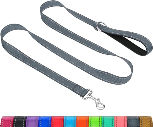 Taglory Hundeleine Mittelgroße Große Hunde Leicht | Doppelseitig Reflektierend | Gepolsterter Griff | Unterstützung 10 bis 75 kg | 1.8m x 2.5cm | Grau Taglory Hundeleine Mittelgroße Große Hunde Leicht | Doppelseitig Reflektierend | Gepolsterter Griff | Unterstützung 10 bis 75 kg | 1.8m x 2.5cm | Grau von Taglory