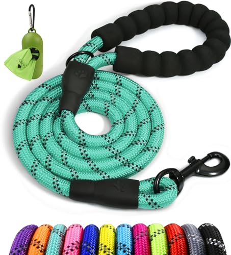 Taglory Hundeleine mit bequemen gepolsterten Griff, robuste Hundeleine zum Trainieren und Gassi gehen, 150×1.0cm Reflektierend Führleine aus weichem Nylon für mittelgroße Hunde, türkis Taglory Hundeleine mit bequemen gepolsterten Griff, robuste Hundeleine zum Trainieren und Gassi gehen, 150×1.0cm Reflektierend Führleine aus weichem Nylon für mittelgroße Hunde, türkis von Taglory